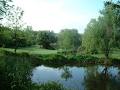 Springview Farm Golf Course image 4