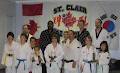 St Clair Tae Kwon Do image 4