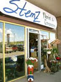 Stemz Florist & Treasures image 1
