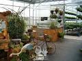 Stonepath Greenhouses & Landscaping image 4