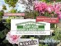 Stony Plain Nursery&Garden Centre image 2