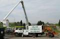 Sullivan Tree Service Ltd image 6