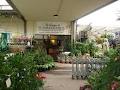 Summerhill Nursery & Floral Inc image 1