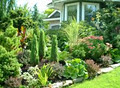 Susan Wheeler Green Design Gardens image 3