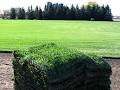 Tee Bar Sod Farms Ltd image 4