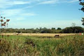 Temperance View Farm image 4
