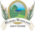 The Golf Clinic.ca @ Muskoka Woodlands image 4