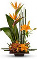 Towne Florist logo