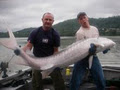 Vancouver Fly Fishing Guides with Silversides image 2