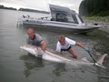 Vancouver Fly Fishing Guides with Silversides image 1