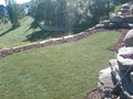 We Sod It Landscaping image 4