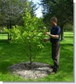 Weese Tree Preservation image 2