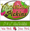 Wholesome Pickins logo