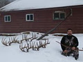 Wild North Taxidermy image 6