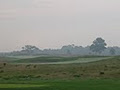 Wildwinds Golf Links logo