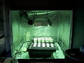 Word of Mouth Hydroponics image 3