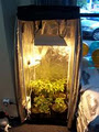 Word of Mouth Hydroponics image 4