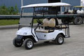 golfcartrentals.ca image 3