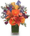 my Flower Shoppe image 1