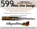 599 Website Design logo