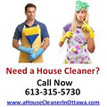 A House Cleaner In Ottawa image 2