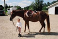A & T Equestrian image 2
