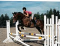 A & T Equestrian image 6