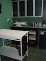 Ajax North Pet Hospital image 2