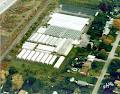 Alkema Greenhouses image 1