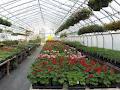 Arthur Greenhouses image 6