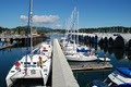 BC Yacht Insurance Brokers Inc image 4