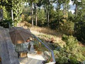 Birdsong Salt Spring Island Bed and Breakfast image 2