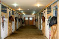Black Rock Stables image 5