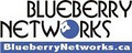 BlueberryNetworks.ca logo