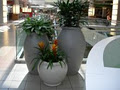 Botany Bay Landscape Services Inc image 3