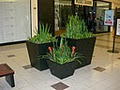 Botany Bay Landscape Services Inc image 6