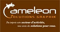 Cameleon Solutions Graphik logo