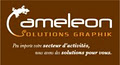 Cameleon Solutions Graphik image 1