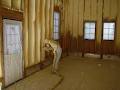 Canadian Foam Insulation - Spray Foam image 2