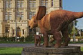 Canadian Museum of Nature image 2