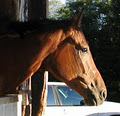 Carter Equestrian logo