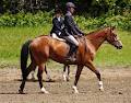 Centre Equestre Ste-Foy image 2