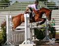 Centre Equestre Ste-Foy image 4