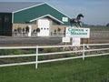 Chinook Meadows Equestrian Centre Lethbridge & Coaldale logo