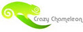 Crazy Chameleon Web Development Specialists image 3