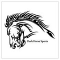 Dark Horse Sports logo
