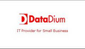DataDium logo
