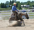 Dean Brown Reining Horses image 2