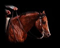 Dean Brown Reining Horses image 3