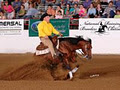 Dean Brown Reining Horses image 1